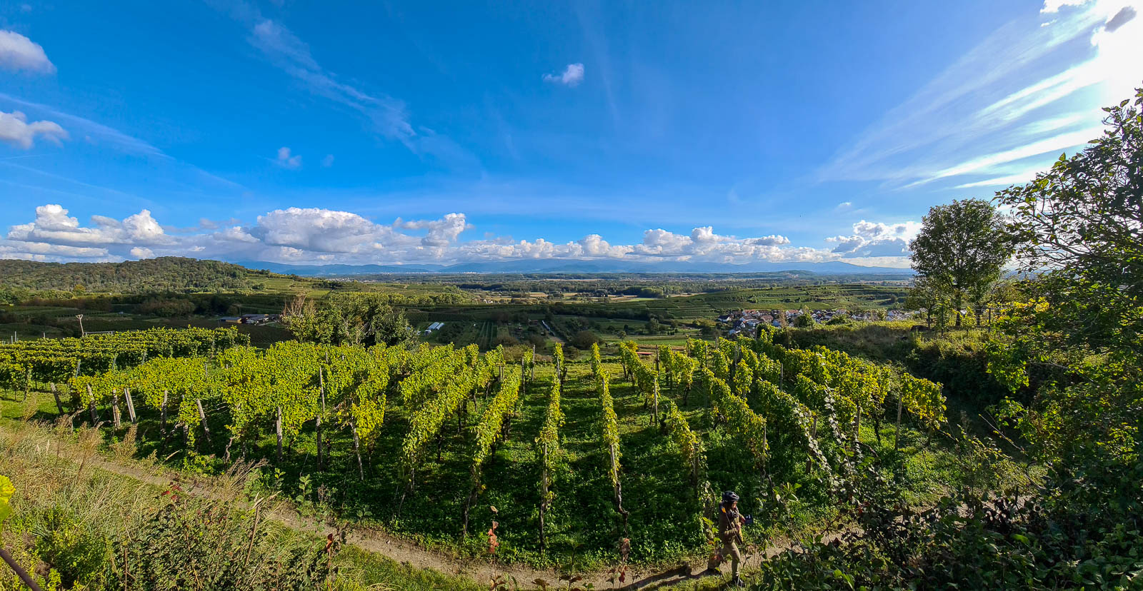 You are currently viewing Herbstreise zum Kaiserstuhl