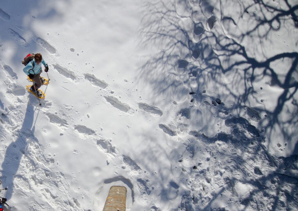 Schneeschuhwanderung