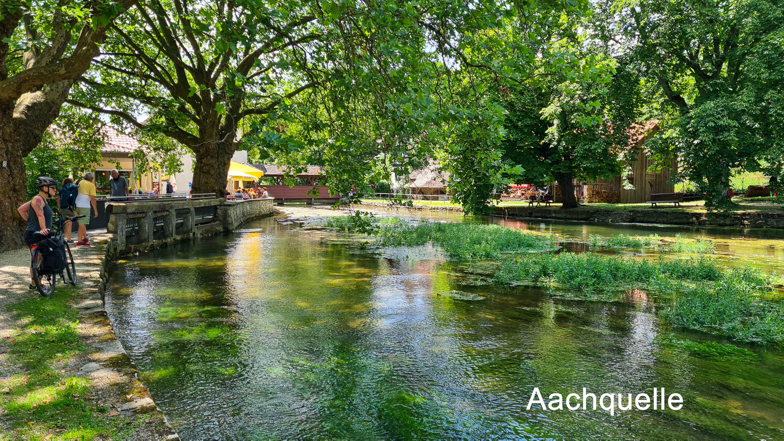 Read more about the article Erlebnisfahrt Schwarzwald-Bodensee