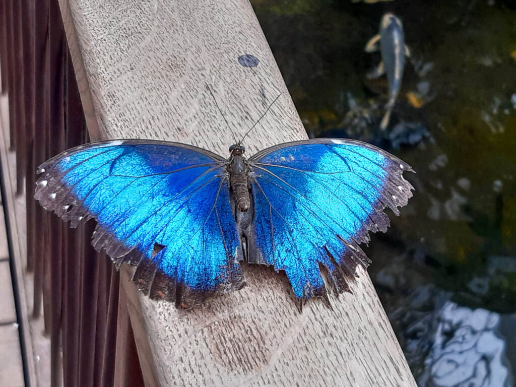 Herbsttour an die Saar und Mosel
