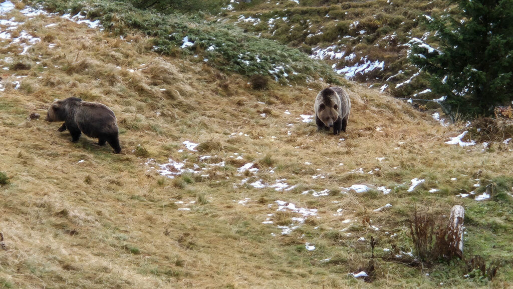 Herbsttour Graubünden