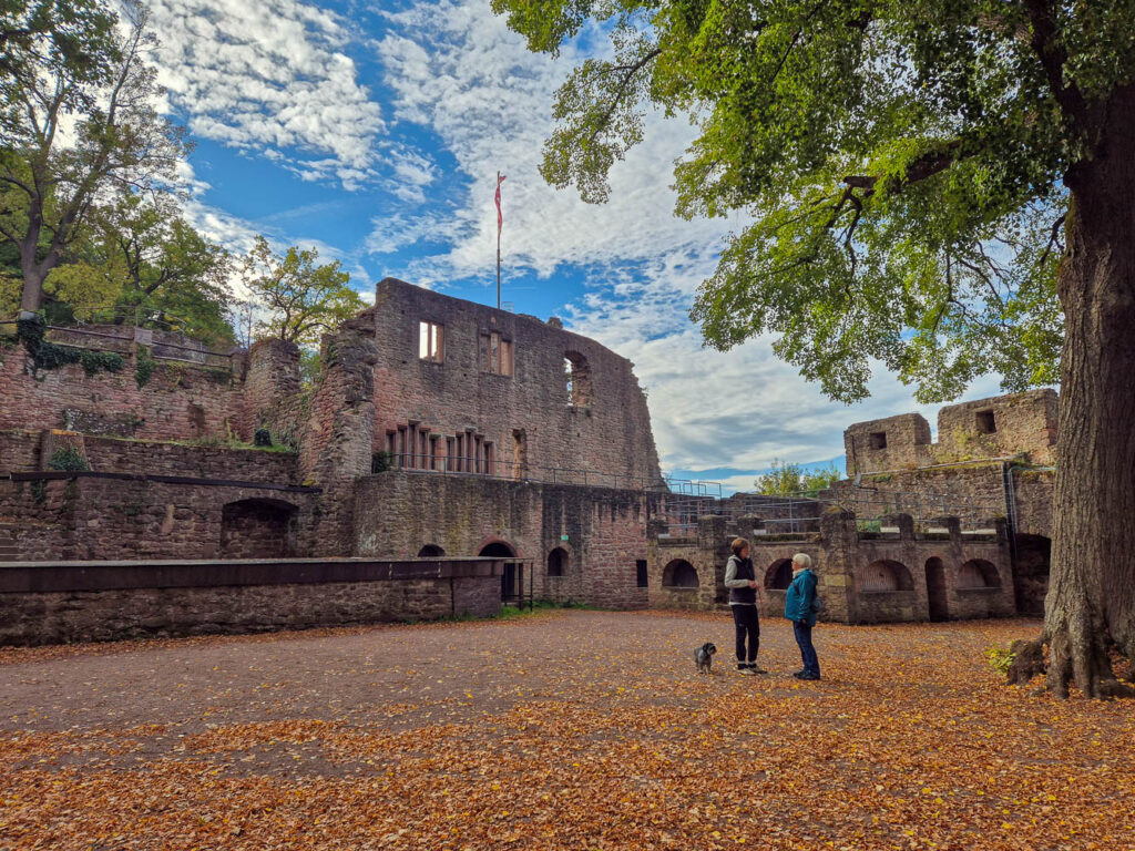 Ruine Clingenburg